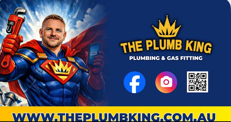 The Plumb King project 10