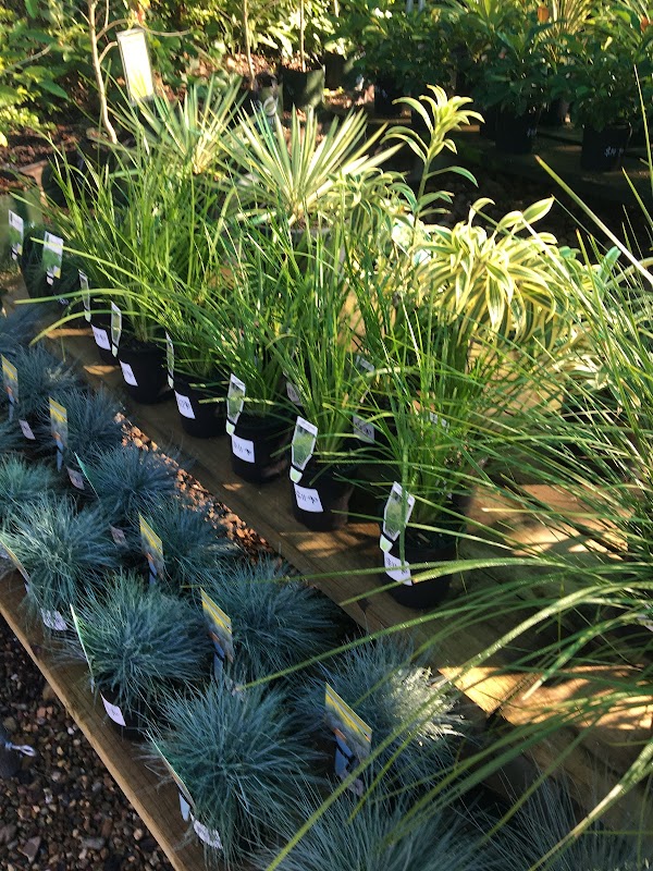 The Rock Landscape and Garden Supplies project 9