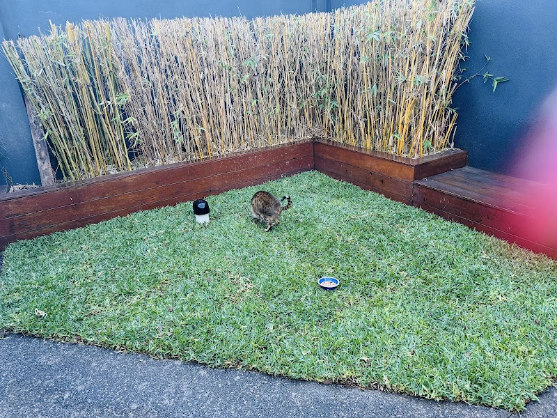 The Turf Crew photo 2