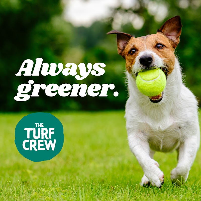 The Turf Crew project 7
