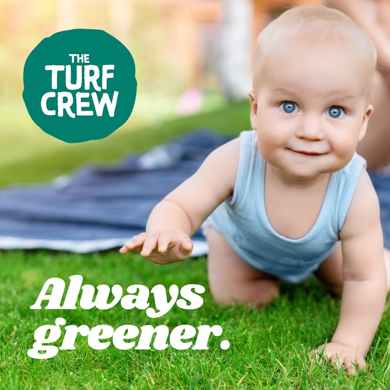The Turf Crew project 9