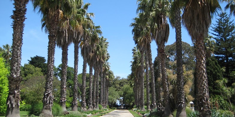 The Williamstown Gardener photo 1