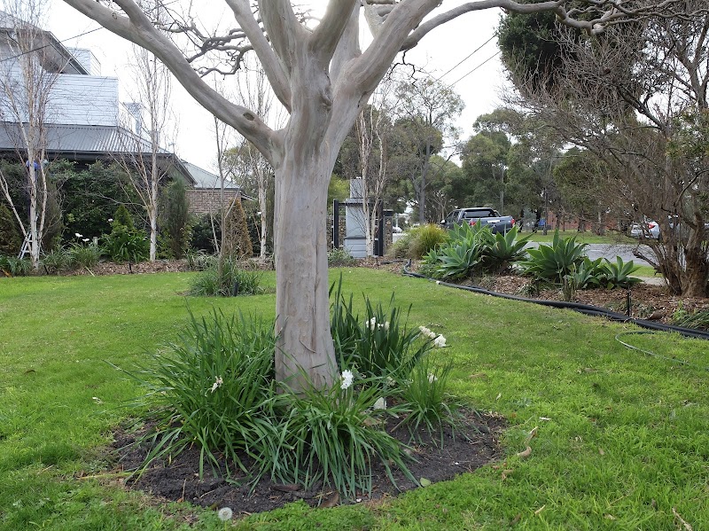 The Williamstown Gardener photo 3