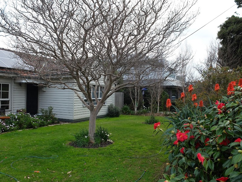 The Williamstown Gardener project 5