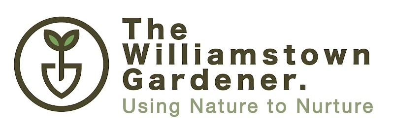 The Williamstown Gardener project 9