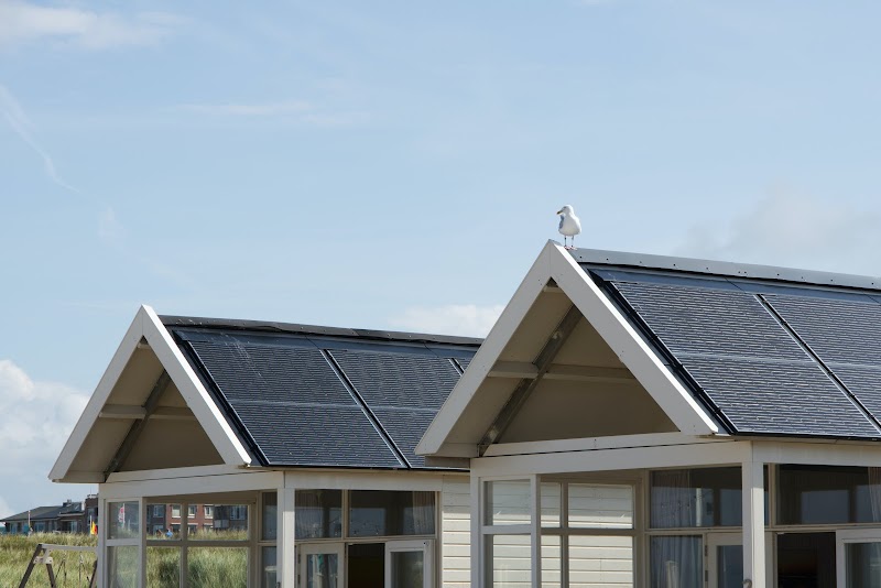 Think Renewable work 4