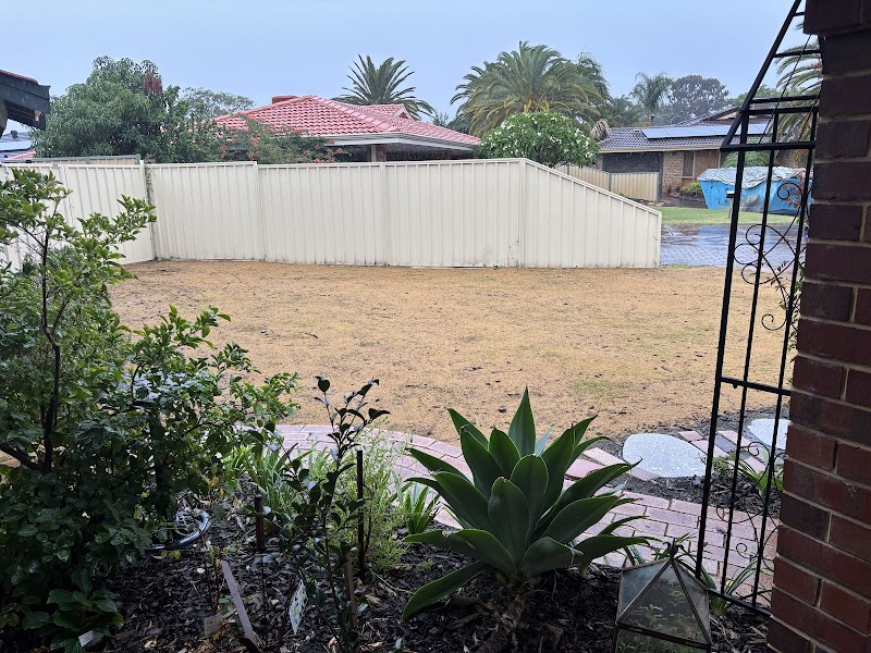 Thirsty Lawn Solutions photo 3