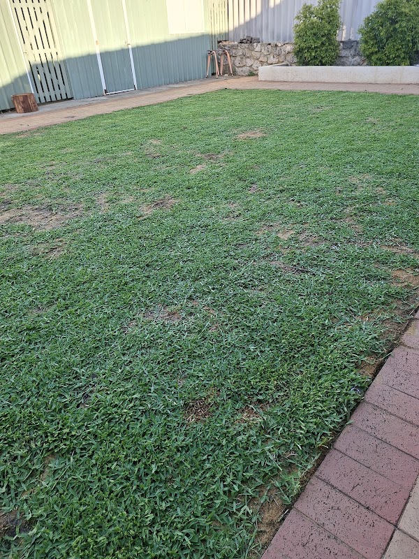Thirsty Lawn Solutions project 4