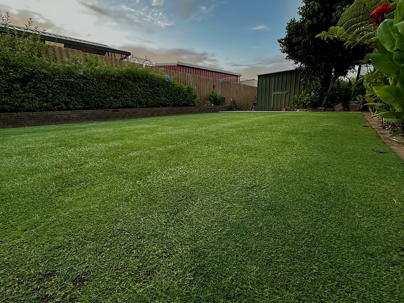 Thirsty Lawn Solutions project 5