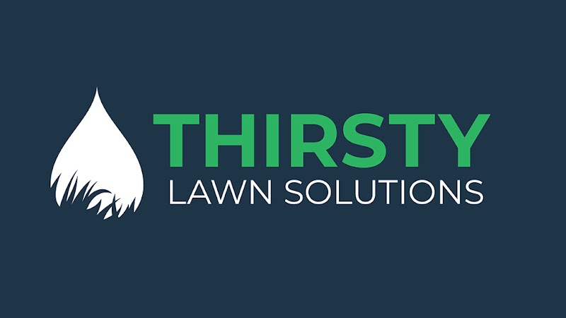 Thirsty Lawn Solutions project 6