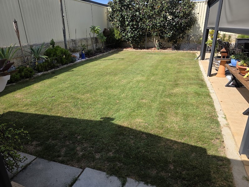 Thirsty Lawn Solutions project 7