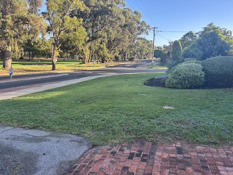 Thirsty Lawn Solutions project 10