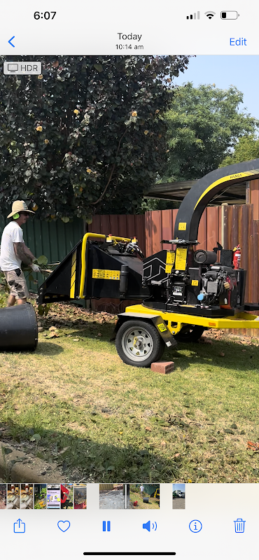 Tidy Trees Western Australia photo 2