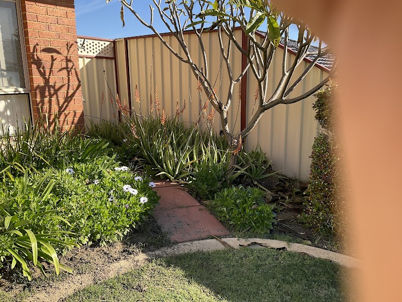 Tol Landscaping work 2
