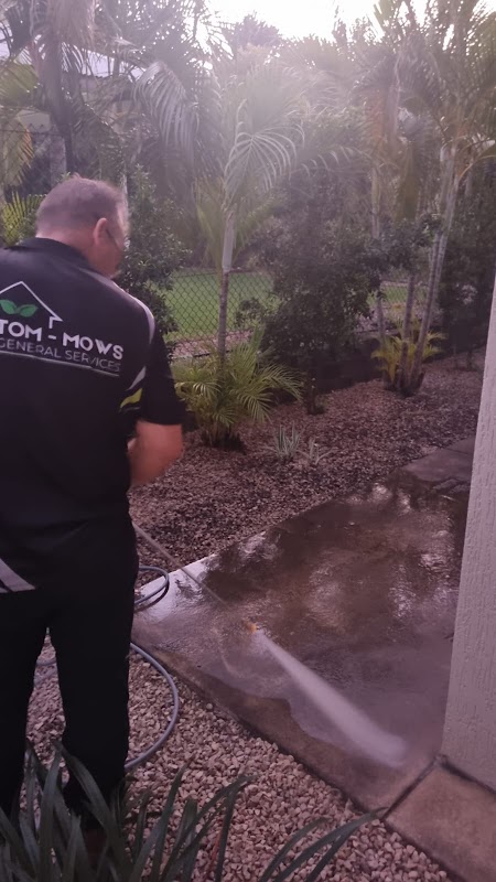 Tom-Mows General Services project 10