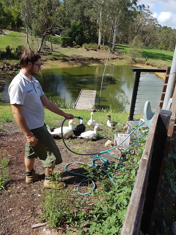 Tongarra Pools Sales & Service project 10