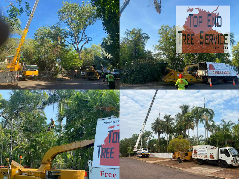 TOP END TREE SERVICE PTY LTD. photo 1