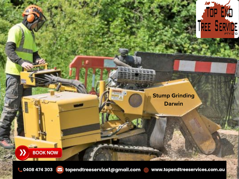 TOP END TREE SERVICE PTY LTD. photo 3