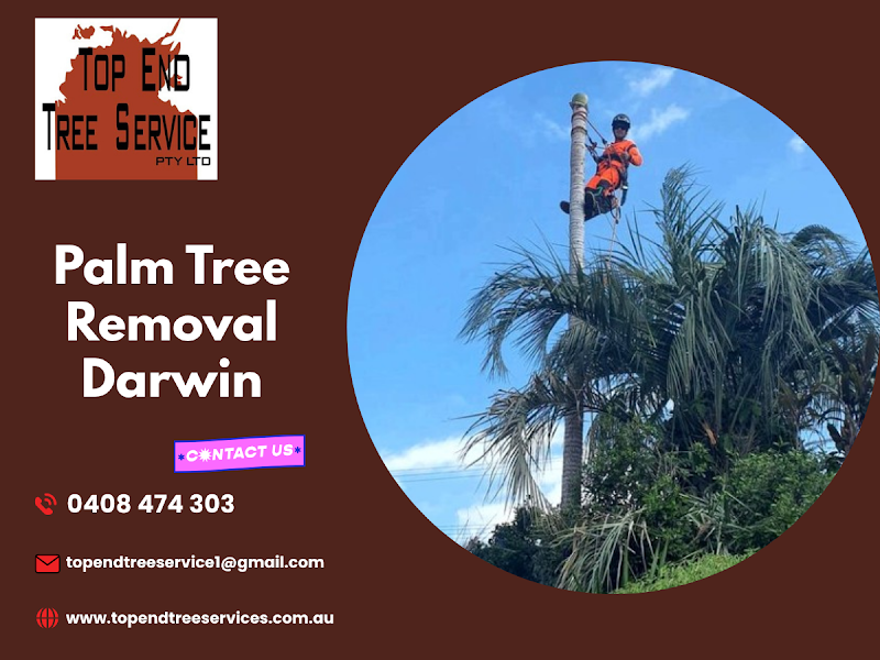 TOP END TREE SERVICE PTY LTD. project 5