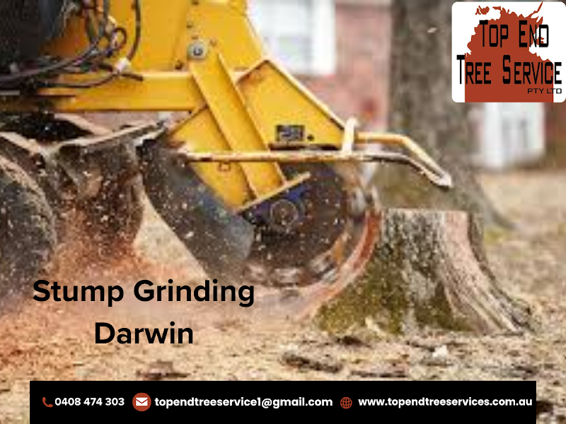 TOP END TREE SERVICE PTY LTD. project 7
