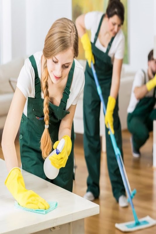 Top Sydney Cleaners work 2