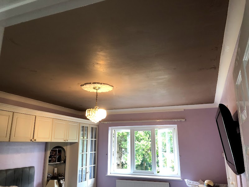Torquay plasterers by Miller & co. project 6