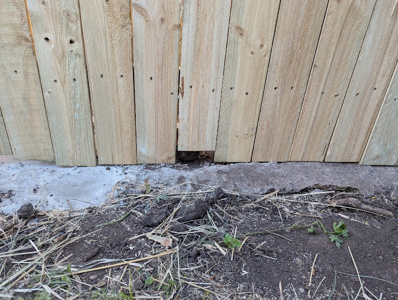 Total Fencing QLD work 4