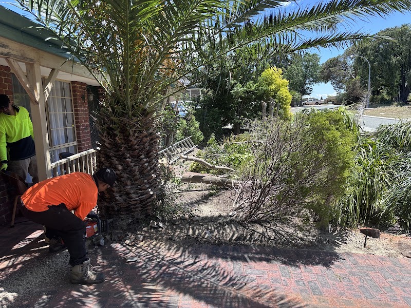 Total landscape and gardening Services work 2