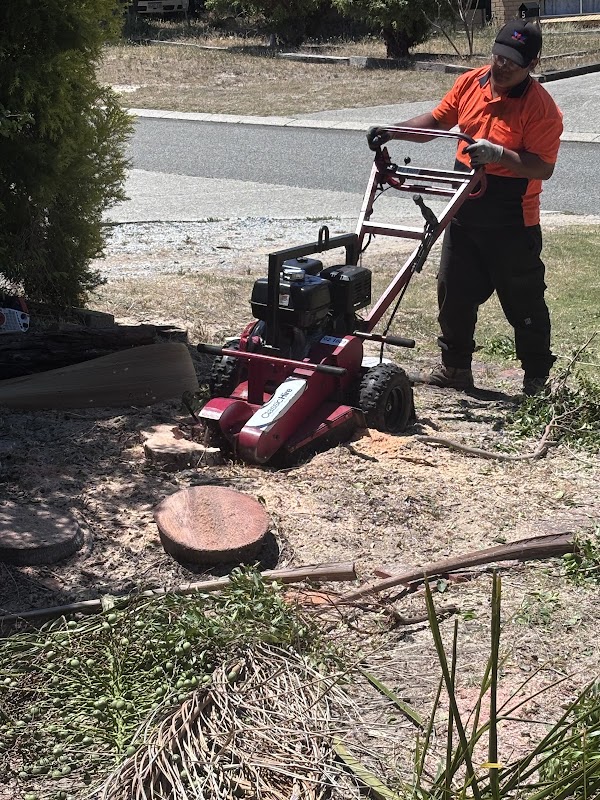 Total landscape and gardening Services project 7