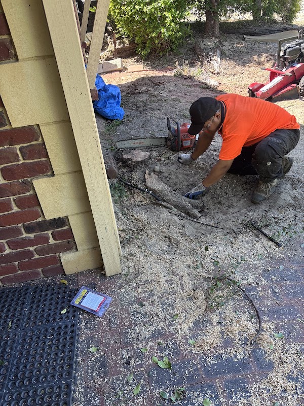 Total landscape and gardening Services project 9