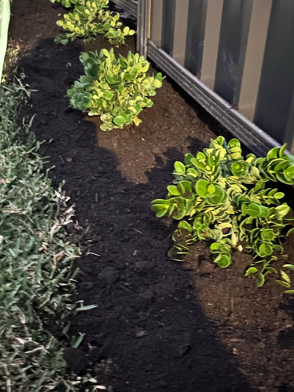 Total landscape and gardening Services project 10