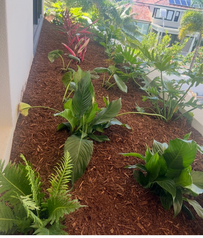 Transforming Gardens Gold Coast Landscape work 4