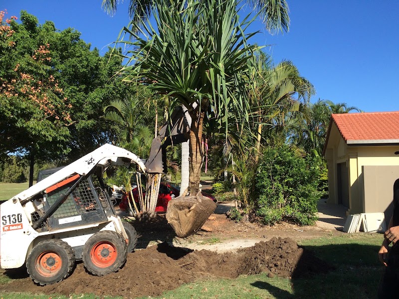 Transforming Gardens Gold Coast Landscape project 10