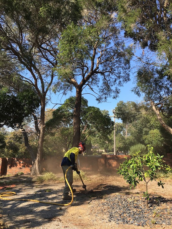 Tree Response project 4