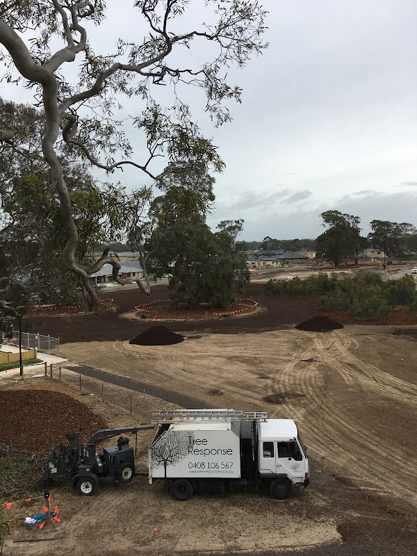 Tree Response project 10