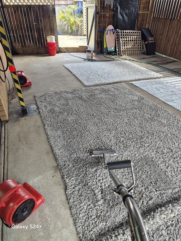 Triple star carpet cleaning work 2