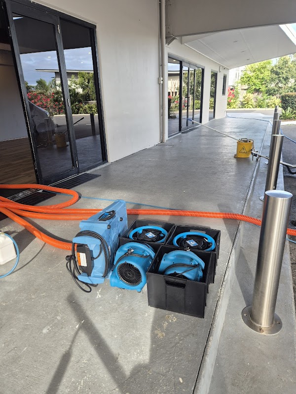 Triple star carpet cleaning work 3