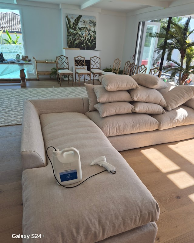 Triple star carpet cleaning project 5