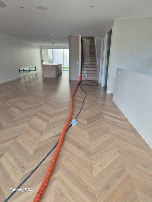 Triple star carpet cleaning project 10