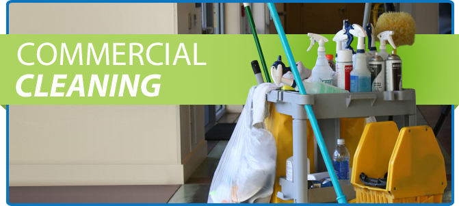 Troia's Cleaning Service photo 2