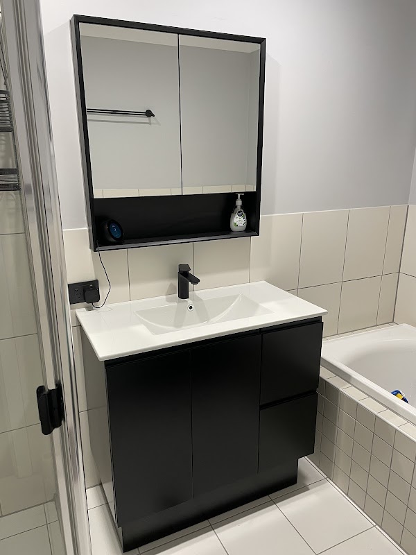 Trust the best flush the rest plumbing project 7