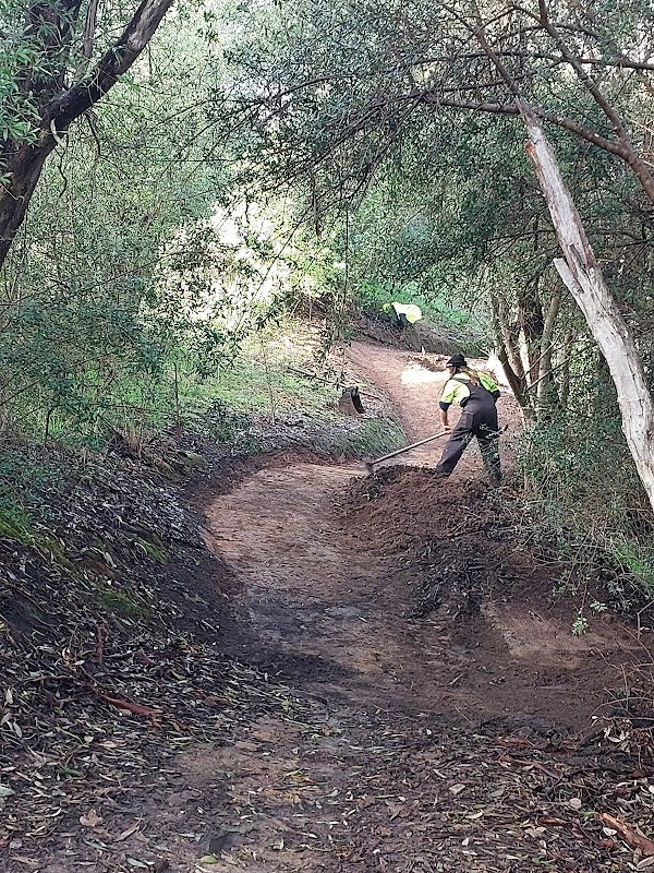 Tuned In Trail Co project 8