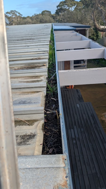 Tyz A1 Cleaning service work 4