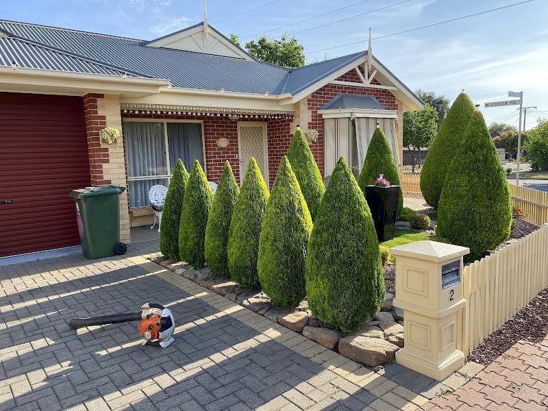 Urban Yard and Garden photo 2