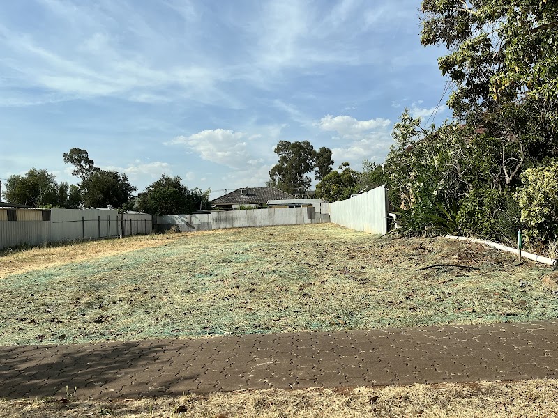 Urban Yard and Garden project 6