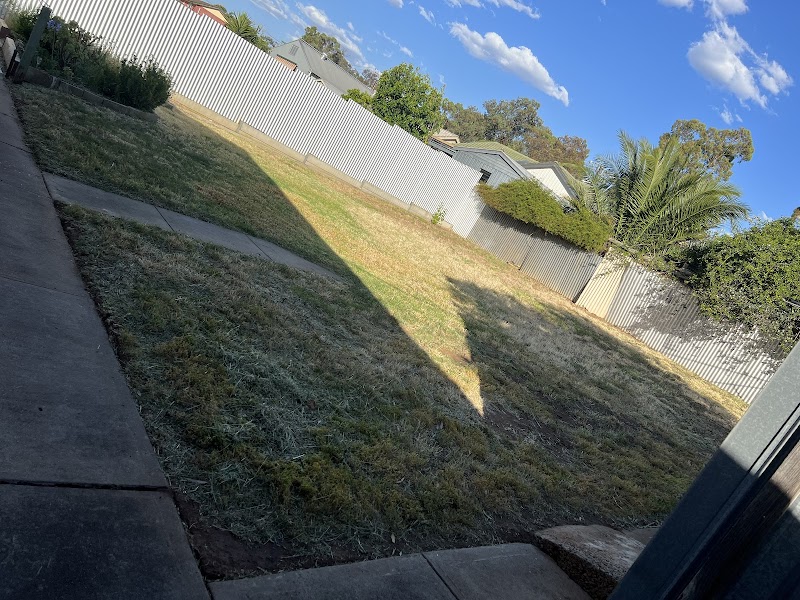 Urban Yard and Garden project 7
