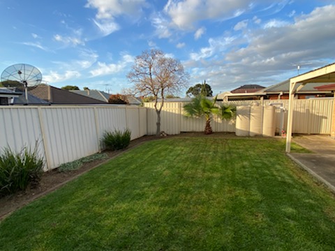 Urban Yard and Garden project 9