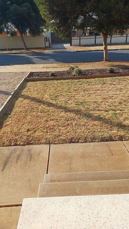 Urban Yard and Garden project 10