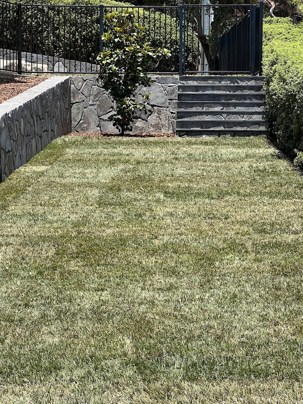 Utopian Landscaping and Paving Solutions photo 1
