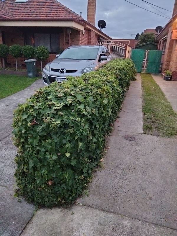 Utopiary Gardening Services project 7
